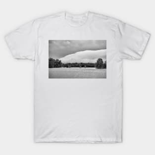 STL Flood Study 4 T-Shirt